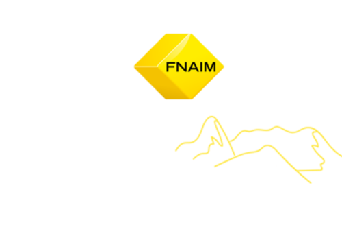 agence le lioran avec logo fnaim et icone de montagne